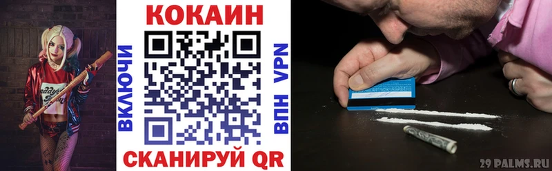 Купить закладки  Темников  КОКАИН Fish Scale 