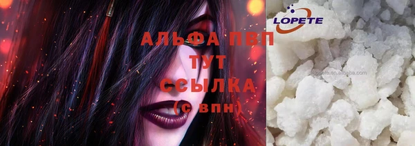 прущие грибы Зерноград