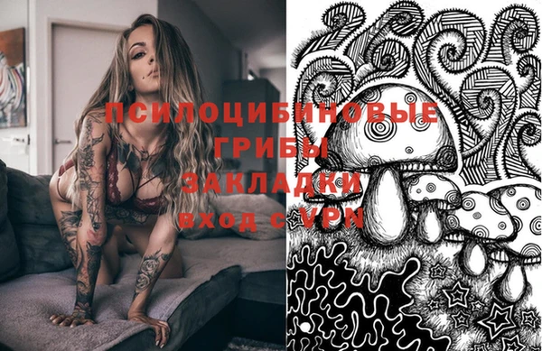 стафф Зеленокумск