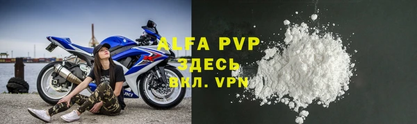 стафф Зеленокумск