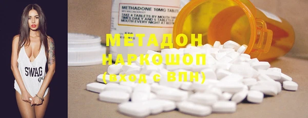 прущие грибы Зерноград