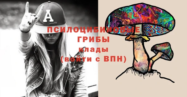 твердый Зеленодольск