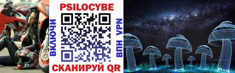 Купить  Темников  Псилоцибиновые грибы ЛСД 