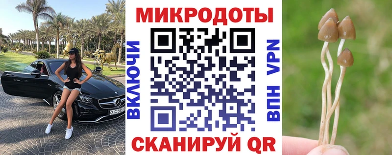 Псилоцибиновые грибы прущие грибы Темников